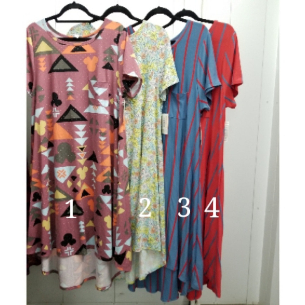 BNWT Carly dress